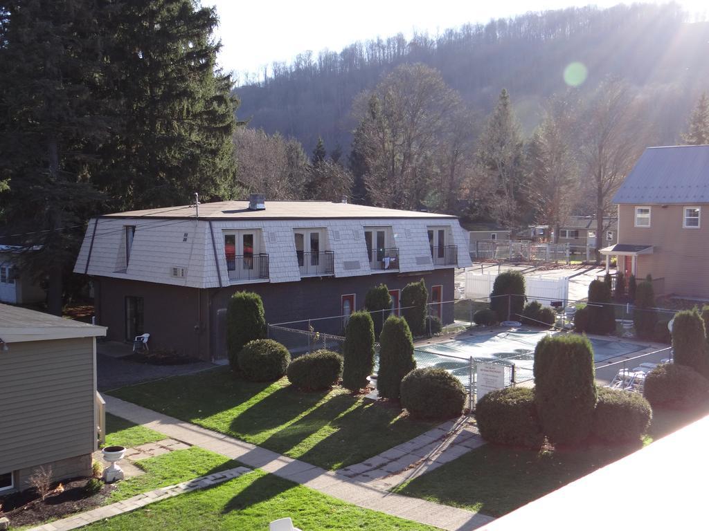 Edelweiss Ski Lodge エリコットビル エクステリア 写真