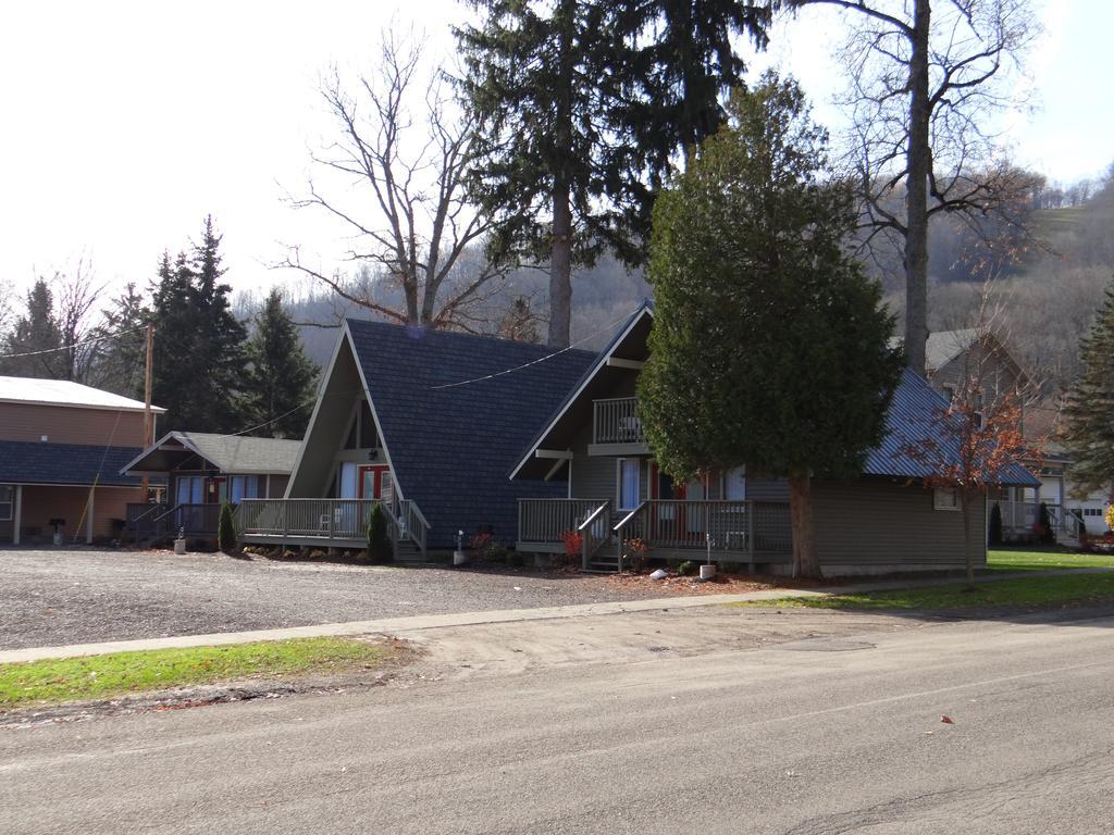 Edelweiss Ski Lodge エリコットビル エクステリア 写真